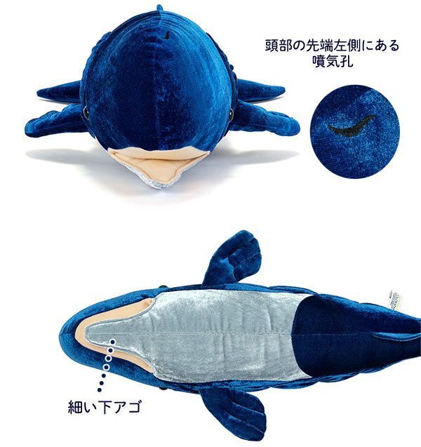 動物 生物 ぬいぐるみ マッコウクジラ / カロラータ オンライン