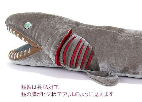 動物 生物 ぬいぐるみ ラブカ LLサイズ / カロラータ オンライン