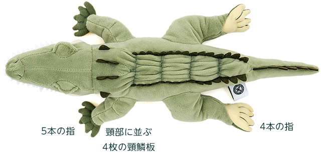 ぬいぐるみ イリエワニ│動物 カロラータ オンラインショップ