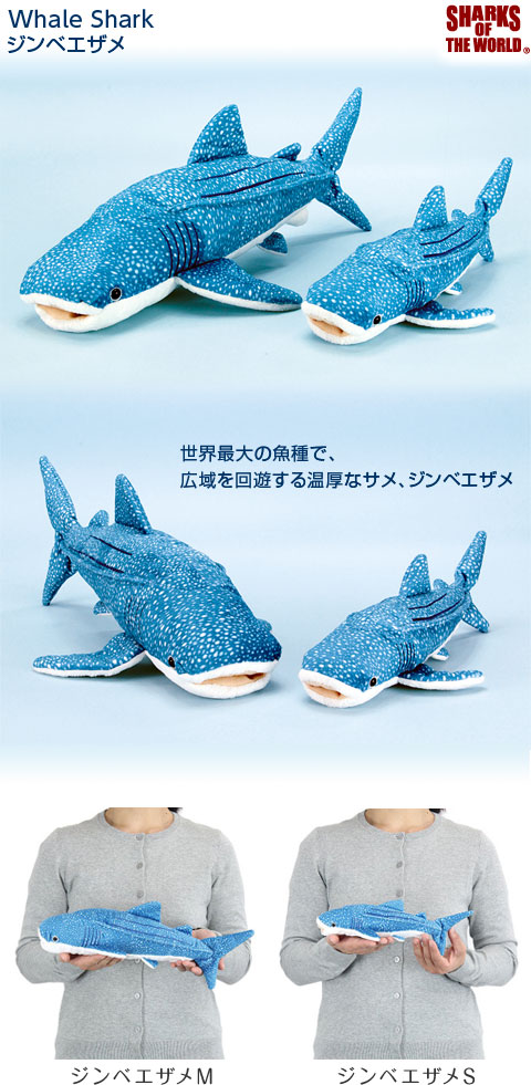 動物 生物 ジンベエザメ カロラータ オンラインショップ