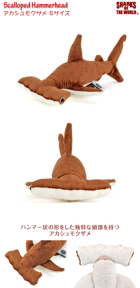 動物 生物 ぬいぐるみ アカシュモクザメ Sサイズ / カロラータ