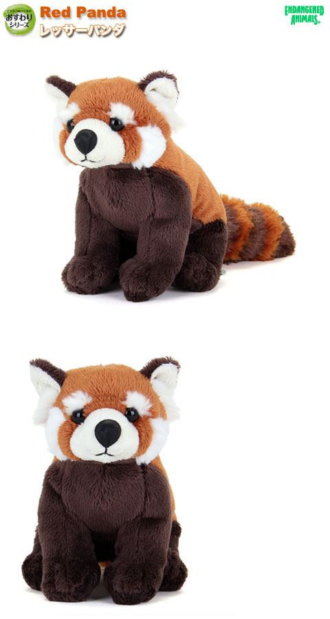 動物 生物 ぬいぐるみ おすわりシリーズ レッサーパンダ / カロラータ