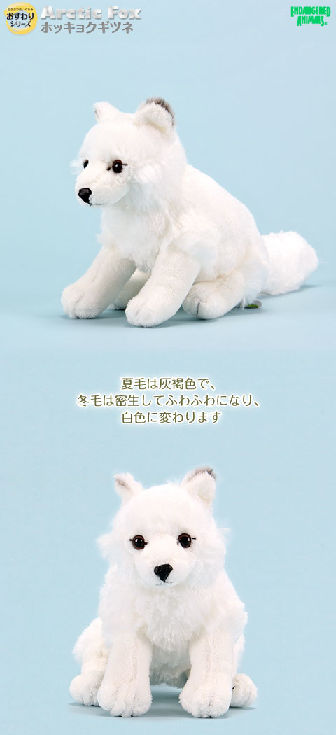 動物 生物 ぬいぐるみ おすわりシリーズ ホッキョクギツネ