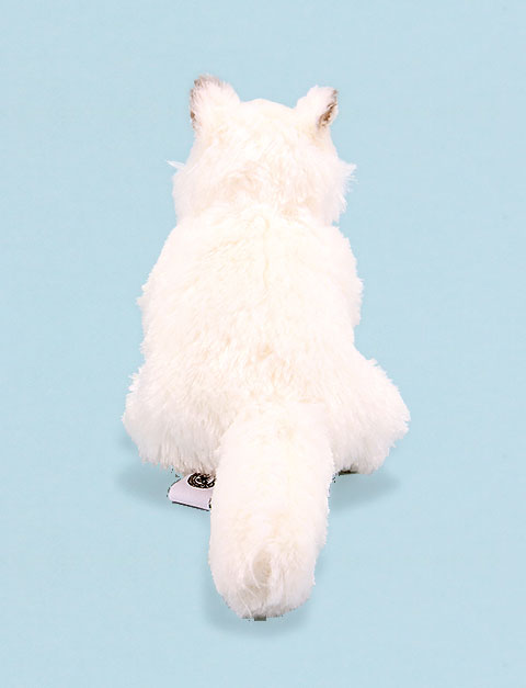 　ジェリーキャット　キツネ　ホッキョク　狐　動物　ぬいぐるみ Amazon.co.jp: ぬいぐるみ きつね ジェリーキャット バシュフル