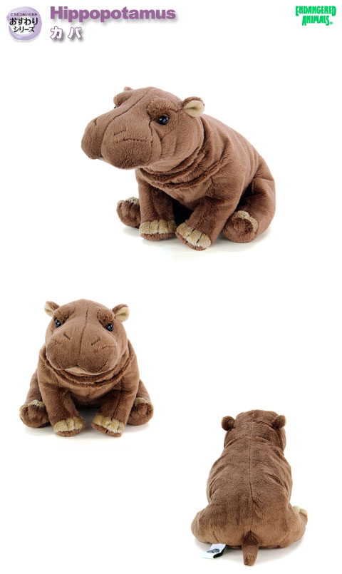 Amazon.co.jp: カロラータ ヒョウ ぬいぐるみ (子/リアル