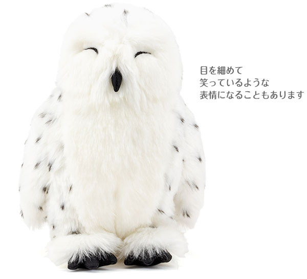 Amazon.co.jp: 信楽焼 夫婦フクロウ【fu-0107（普通サイズ