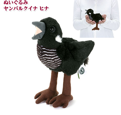 やんばるくいな商品 やんばるの生物│動物 カロラータ オンラインショップ