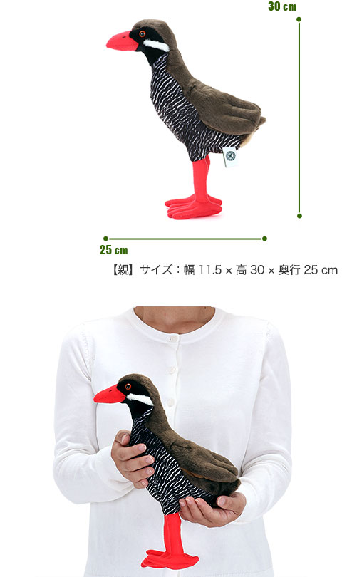 動物 生物 やんばるの親子 カロラータ オンラインショップ