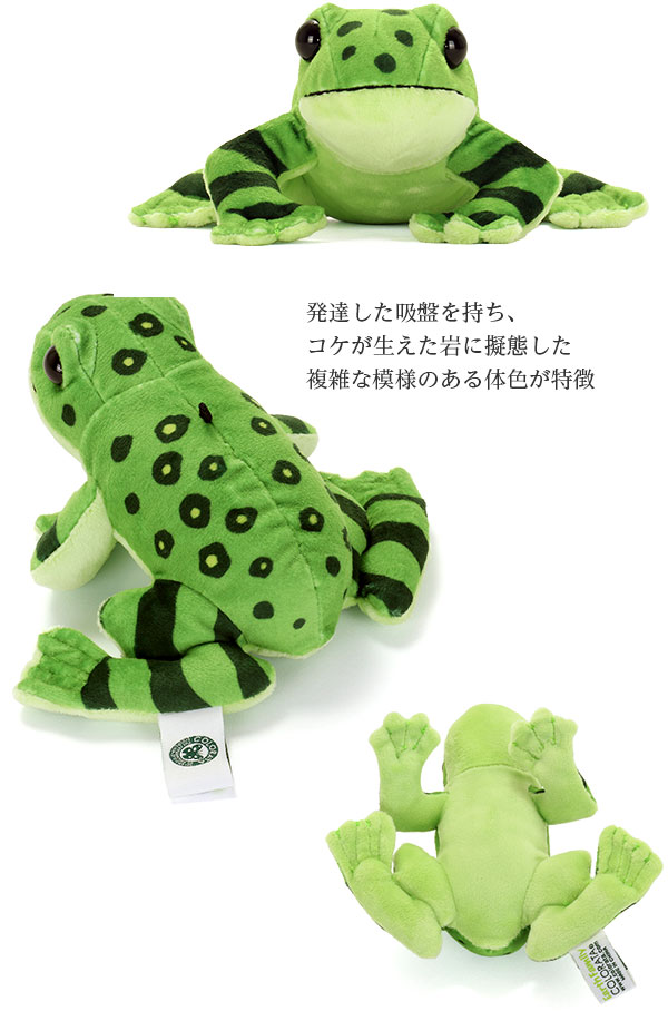 花カエル 粘土人形 作家作品 カエル 創作人形 （花カエル 粘土