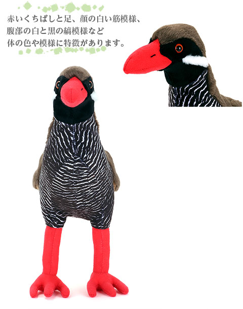 やんばるくいな商品 キーチェーン ヤンバルクイナ 親子 やんばるの生物 – WWF