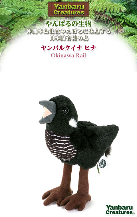 最終決算 動物 生物 ぬいぐるみ やんばるの生物 ヤンバルクイナ ヒナ 人形・ドール