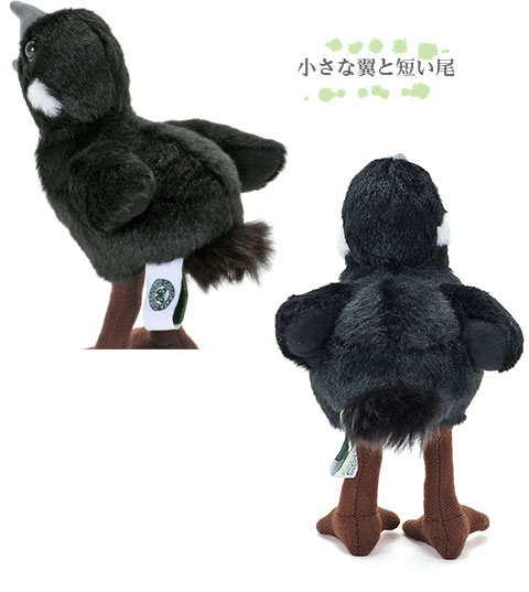 動物 生物 ぬいぐるみ やんばるの生物 ヤンバルクイナ ヒナ