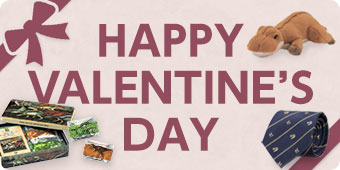 �o�����^�C�����W