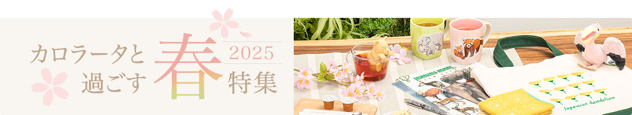 カロラータと過ごす春：春の特集