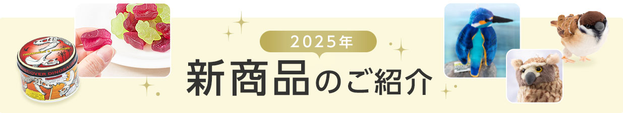 2025年新商品ランキング