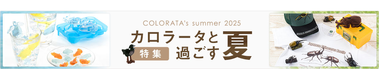 夏の特集