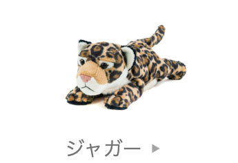ぬいぐるみ│動物 カロラータ オンラインショップ