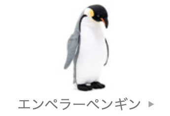 リアルペンギンファミリー│動物 カロラータ オンラインショップ