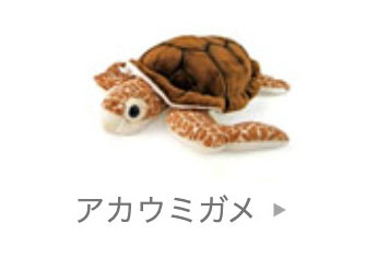 海の生物│動物 カロラータ オンラインショップ