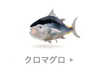 恐竜 トロオドフォルモスス 鳥類 ぬいぐるみ 激レア グレー 匿名配送