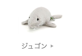 海の生物│動物 カロラータ オンラインショップ