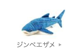 海の生物│動物 カロラータ オンラインショップ