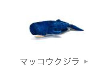 海の生物│動物 カロラータ オンラインショップ