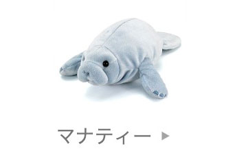 海の生物│動物 カロラータ オンラインショップ