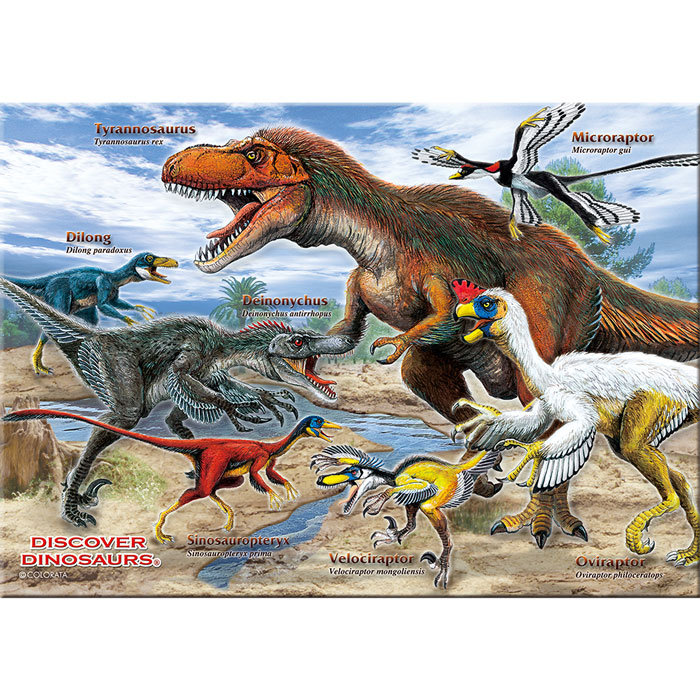 動物 生物 ミュージアム ジグソーパズル B5サイズ/330ピース 羽毛恐竜 / カロラータ オンラインショップ