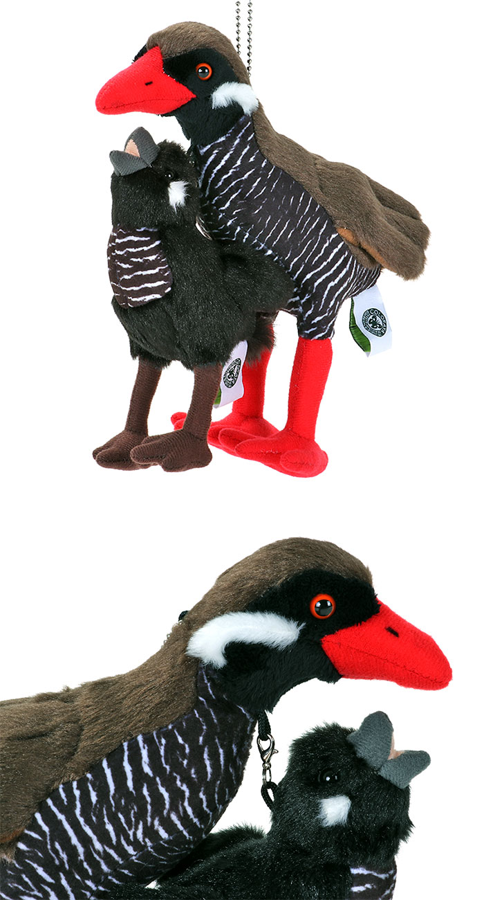 動物 生物 ぬいぐるみマスコット やんばるの生物 ヤンバルクイナ親子