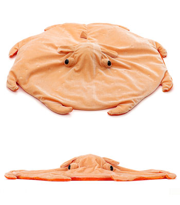 ʂ _R LLTCY