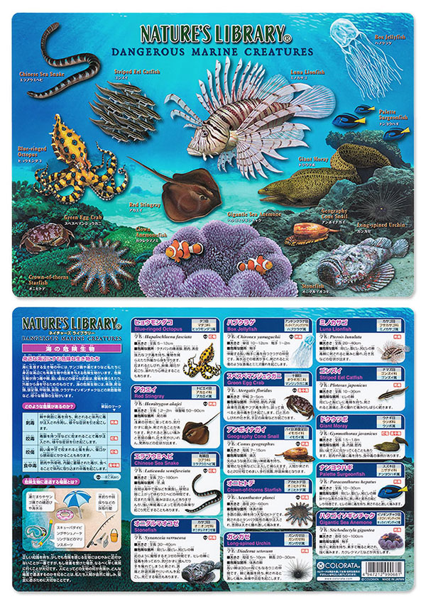 下敷き 海の危険生物│動物 カロラータ オンラインショップ│ 4947212990681