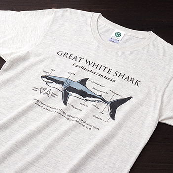 動物 生物 サイエンスデザイン Tシャツ ホホジロザメ ライトグレー M／Lサイズ 半袖 / カロラータ オンラインショップ