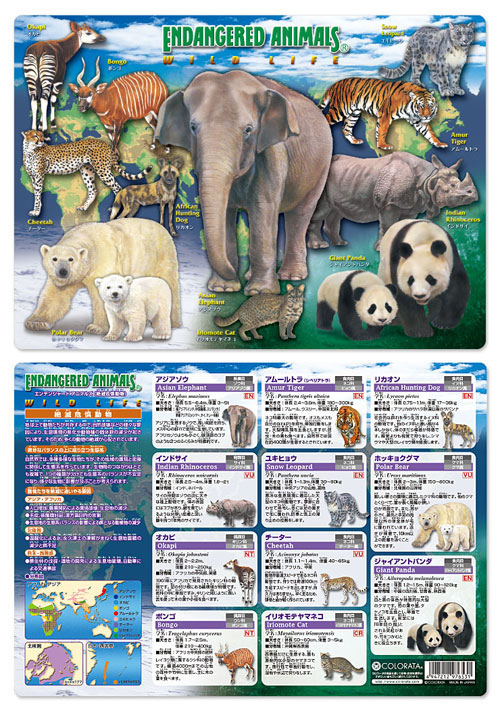 動物 生物 下敷きA4 アニマルガイドシート 絶滅危惧動物