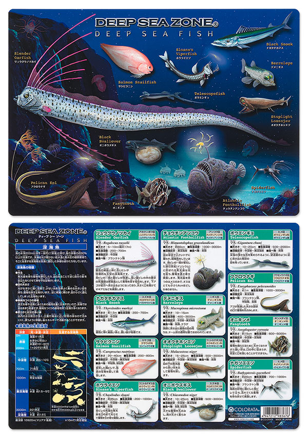 動物 生物 下敷きＡ４ アニマルガイドシート 深海魚 / カロラータ オンラインショップ