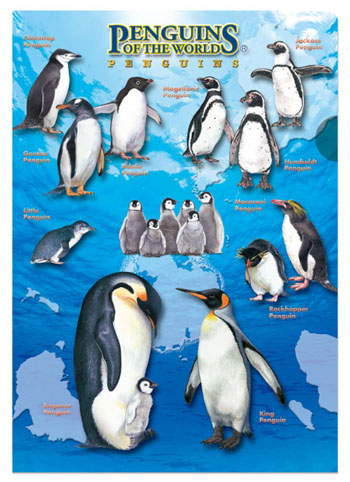 クリアケース Ａ４ ペンギン