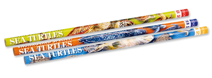 動物 生物 かきかた鉛筆３本セット２Ｂ ウミガメ / カロラータ