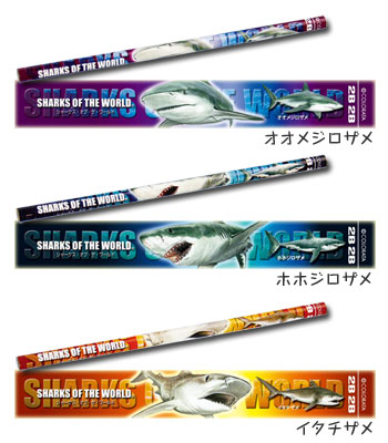 かきかた鉛筆３本セット２Ｂ <br>ホホジロザメ