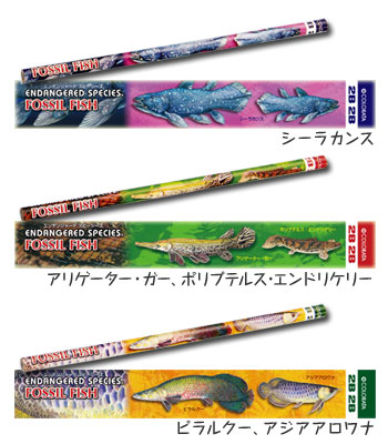 かきかた鉛筆３本セット２Ｂ <br>古代魚