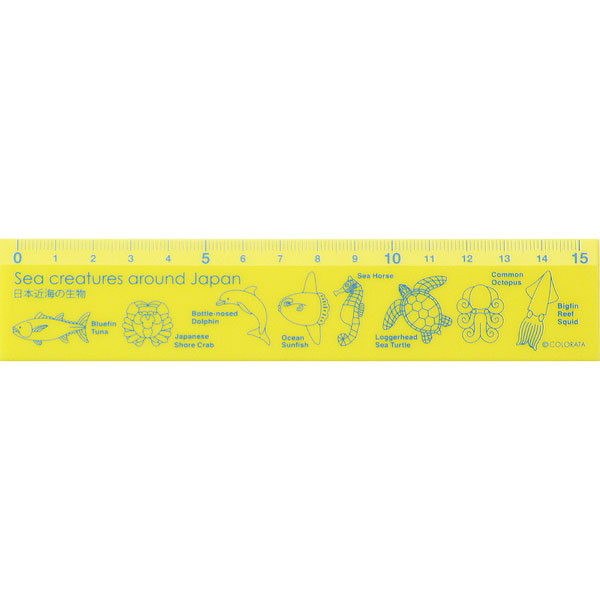 動物 生物 カラー定規15cm 日本近海の生物（縦3.3cm） / カロラータ