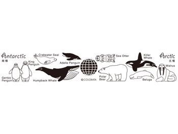 カラー定規15cm 北極と南極の動物（縦4cm）