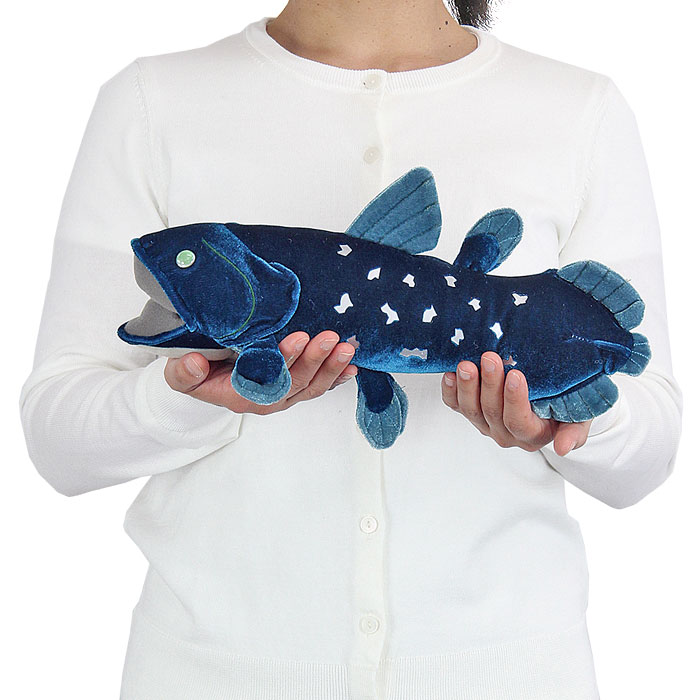 動物 生物 ぬいぐるみ シーラカンス Mサイズ カロラータ オンラインショップ