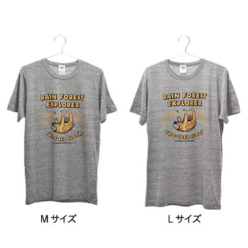 ミュージアムデザイン Tシャツ <br />フタユビナマケモノ グレー M／Lサイズ