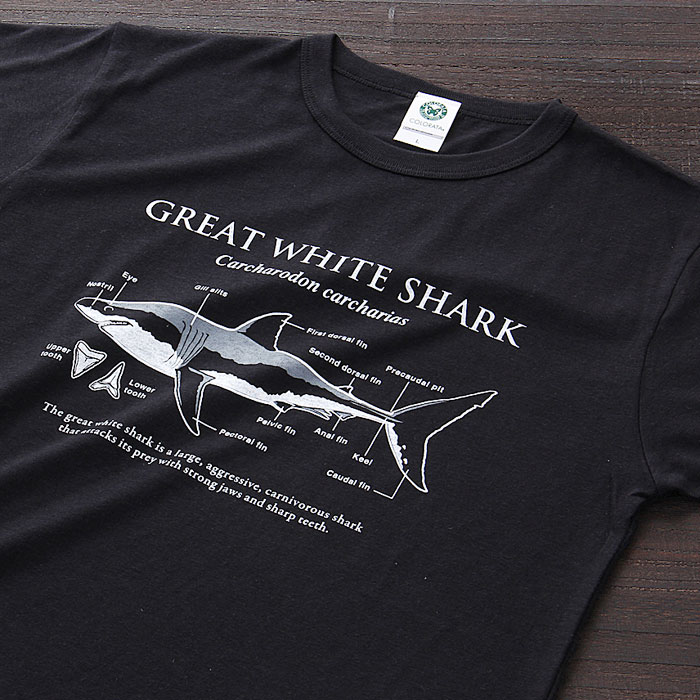 動物 生物 【無くなり次第終了】サイエンスデザイン Tシャツ