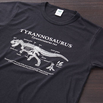 サイエンスデザイン Tシャツ ティラノサウルス ブラック M／Lサイズ 半袖