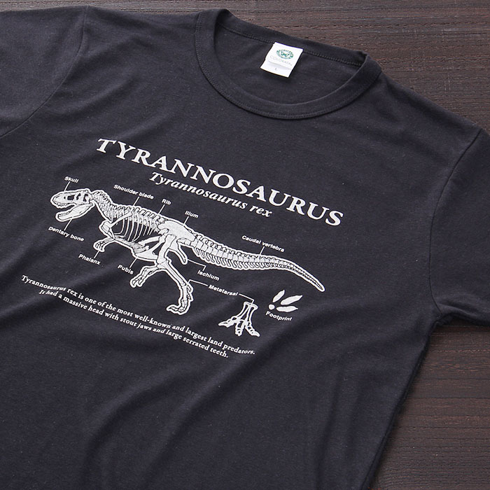 【90s】USA製 ブラックヒルズ地質学研究所 ティラノサウルス Tシャツ L