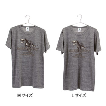 ミュージアムデザイン Tシャツ <br />羽毛ティラノサウルス　グレー M／Lサイズ