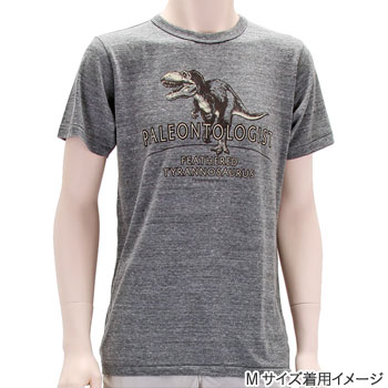 ミュージアムデザイン Tシャツ <br />羽毛ティラノサウルス　グレー M／Lサイズ
