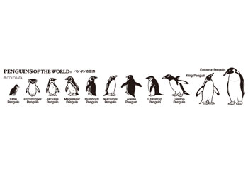 カラー定規15cm ペンギンの世界（縦3.3cm）